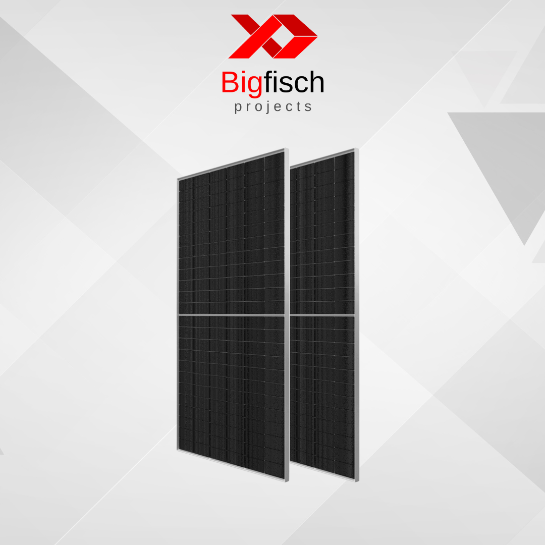 Longi Hi-MO 620W Bifacial Solar Panel