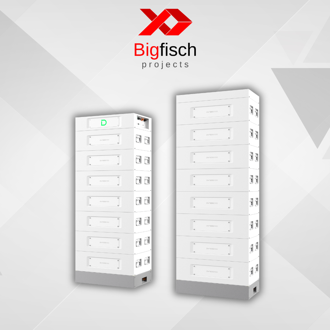 Dyness Stack 280 HV Lithium Battery Cluster (15 Pcs) – Bigfisch Projects