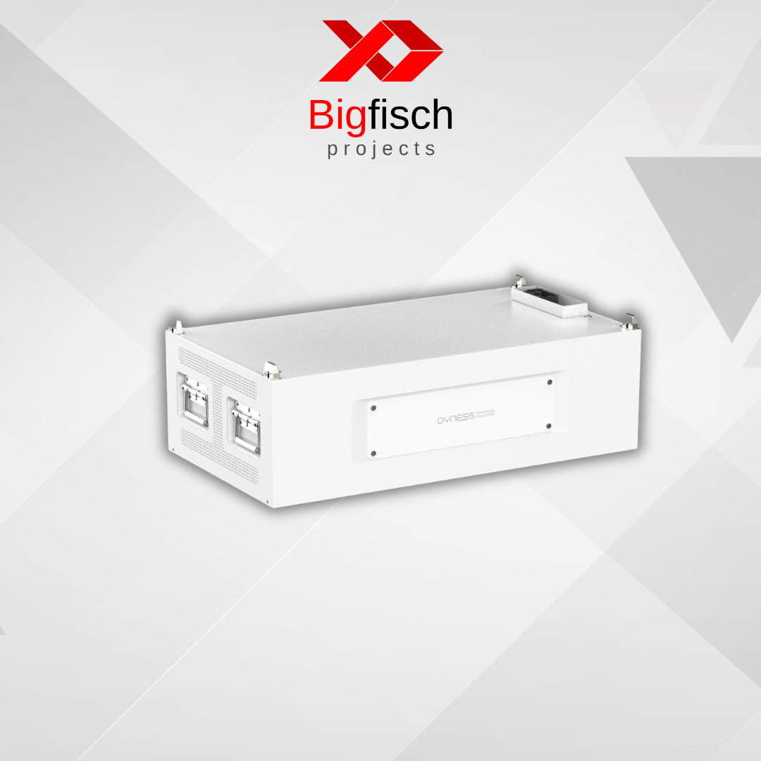 Dyness Stack 280 HV Lithium Battery Module (1 Pcs)